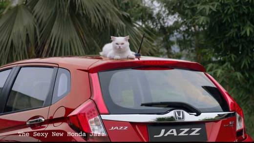 Honda wirbt mit Katzen-Content.