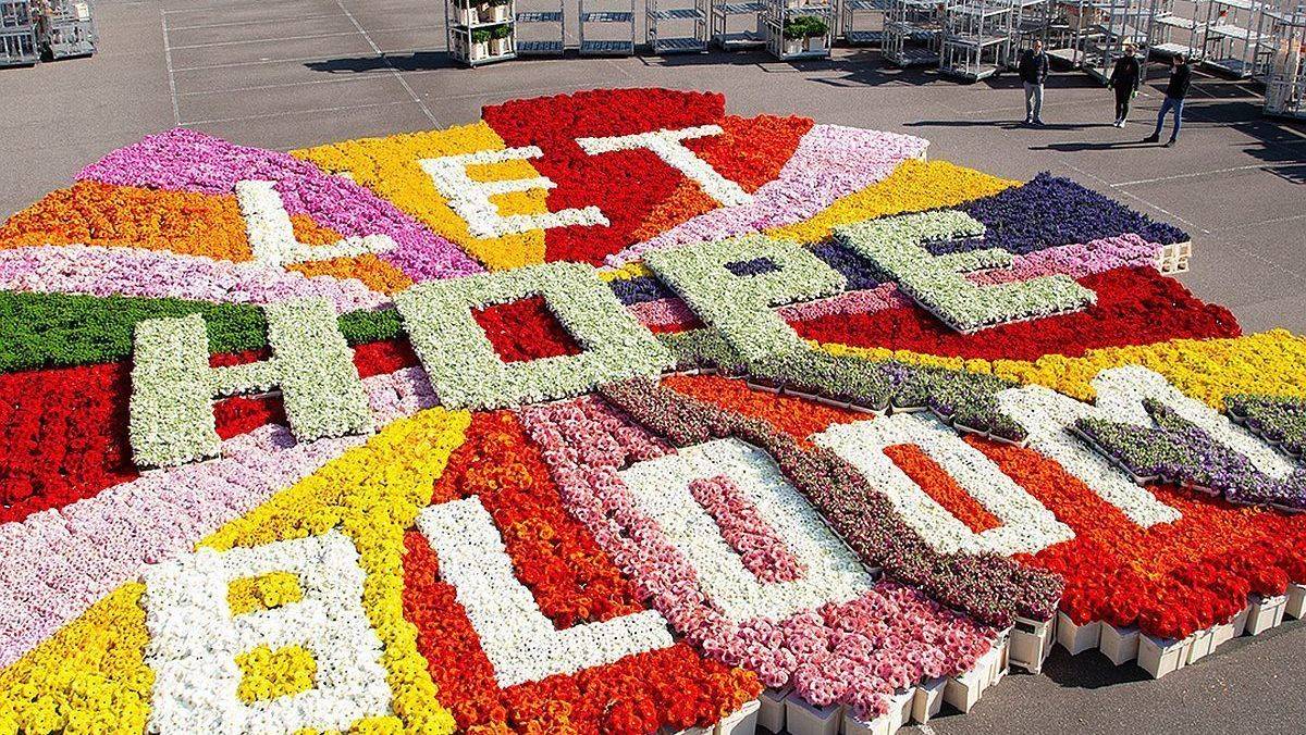 Für die Aktion wurden rund 200.000 Blumen regulär aufgekauft, um deren Produzenten finanziell zu unterstützen.