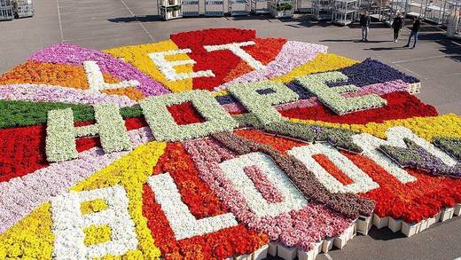 Für die Aktion wurden rund 200.000 Blumen regulär aufgekauft, um deren Produzenten finanziell zu unterstützen.