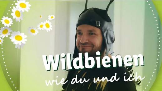 "Wildbienen wie Du und ich": die Soap für Bienenversteher.