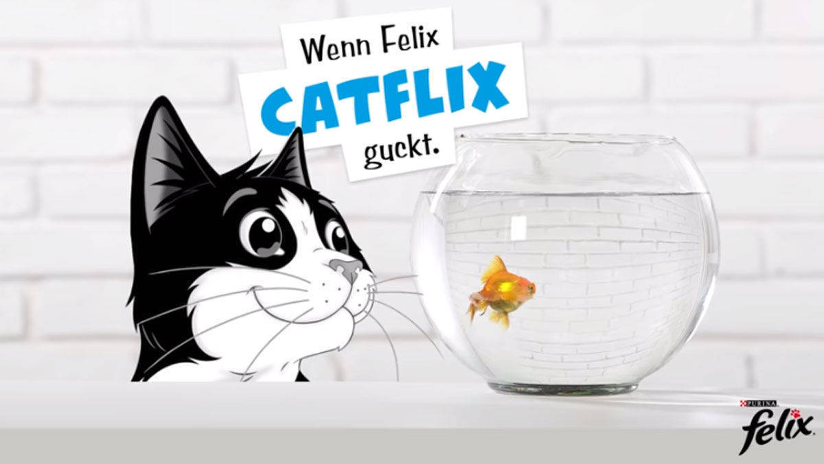 Typische Felix-Momente.