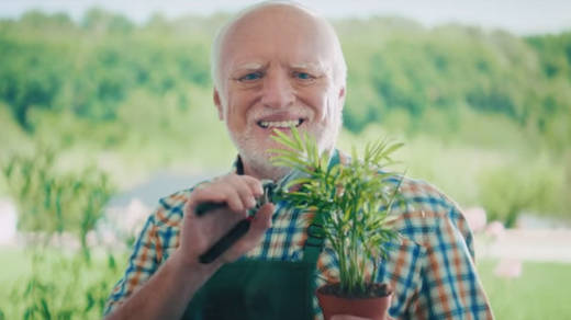 #Hidethepain: Otto macht Harold zum Star der neuen Kampagne.