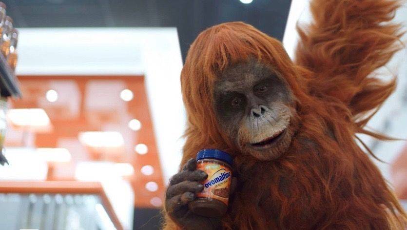 In den "Ovomaltine Crunchy Cream"-Spots spielt ein Orang-Utan die Hauptrolle.