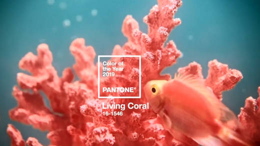 Living Coral 16-1546 wird im Design 2019 eine Rolle spielen.