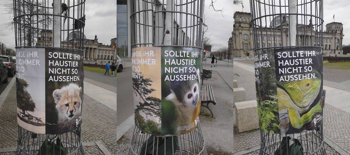 Pro Wildlife plakatiert wild im Regierungsviertel.