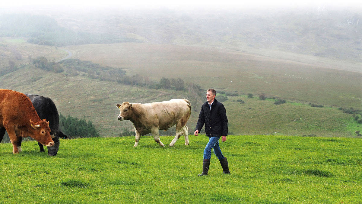 Gordon Kilgallen, Rinderfarmer in der 4. Generation, aus der irischen Grafschaft Sligo.