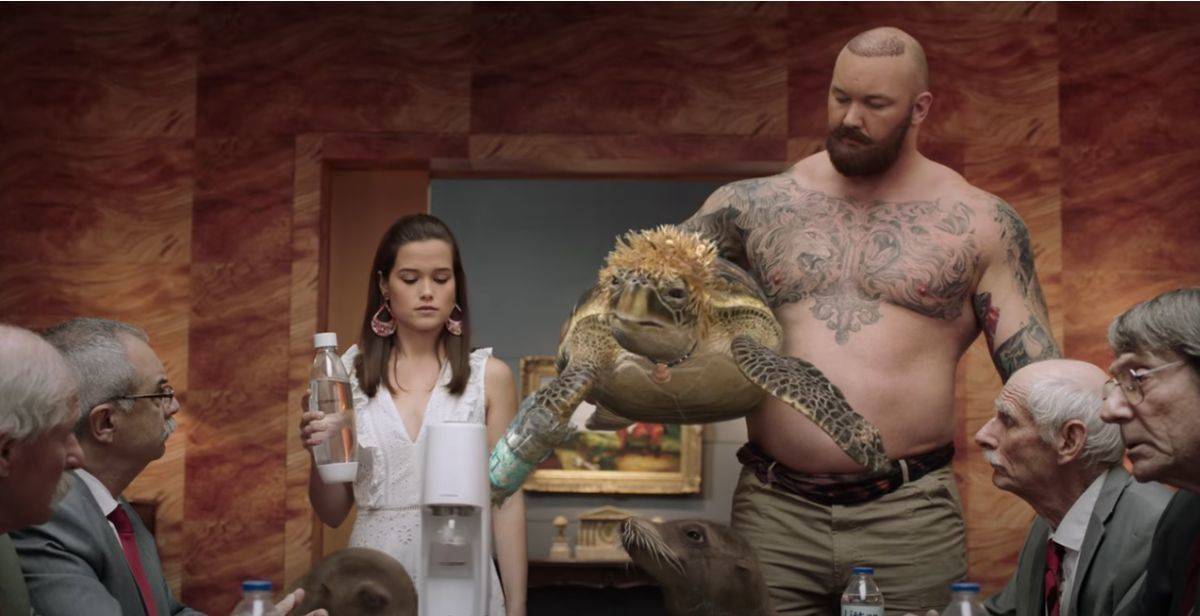 Kämpft gegen Plastik: Rod, die Schildkröte mit Reibeisen-Stimme.