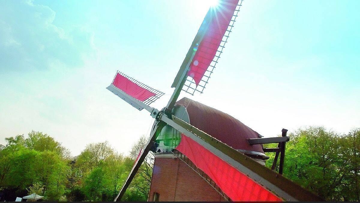 Rügenwalder Mühle baut Soja selbst an.  