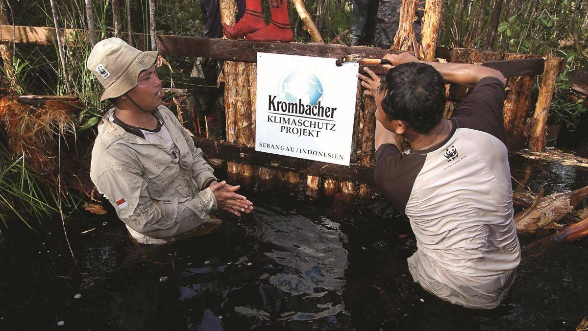 2009 haben Krombacher und WWF Deutschland gemeinsam ein Klimaschutz-Projekt auf Borneo an den Start gebracht - mit hohem Nutzen für die Umwelt.