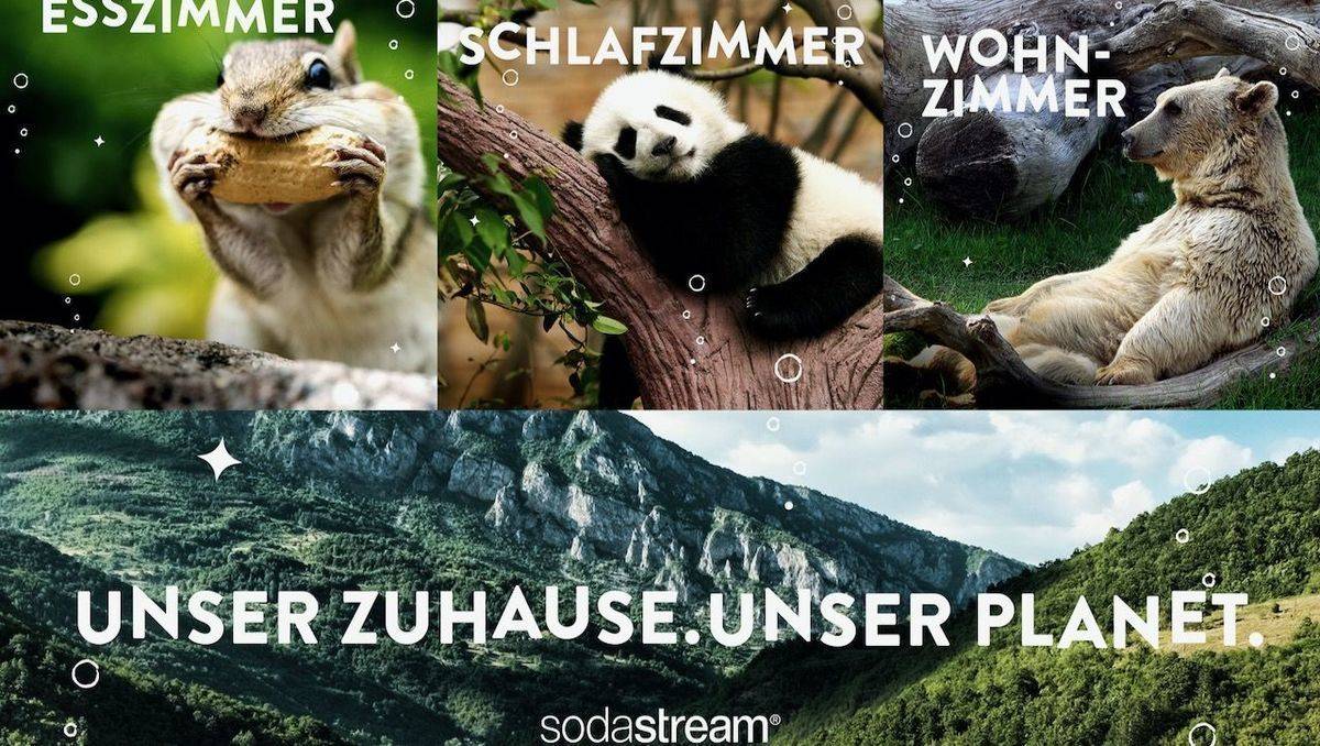 Die Natur im Fokus: Sodastream ruft zum Plastikverzicht auf