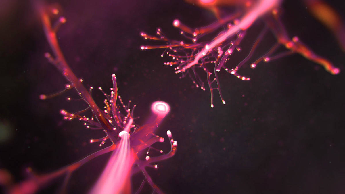 Vernetzung: Die Telekom wirbt für den Breitbandausbau. Szene aus dem neuen TV-Spot.