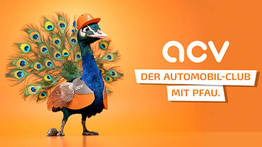 Dieser Pfau ist das neue Maskottchen des ACV (Automobil-Club Verkehr).