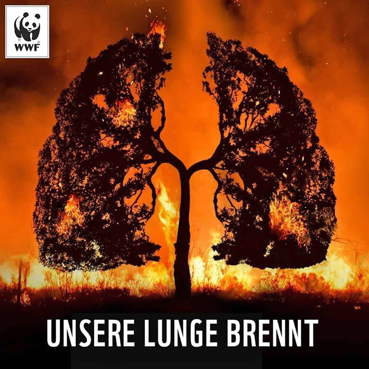 Das Motiv für die Organisation WWF.