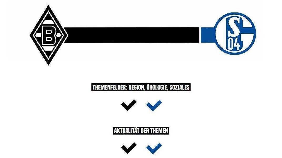 Brinkert-Metzelder-Studie: Schalke verliert beim Umweltschutz.