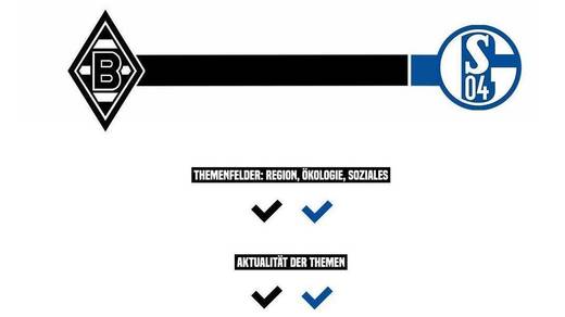 Brinkert-Metzelder-Studie: Schalke verliert beim Umweltschutz.