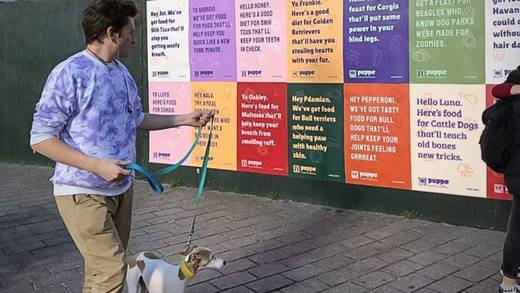 Beim Gassigehen das passende Plakat sehen.