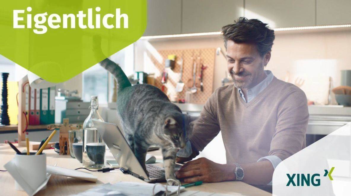 Home Office und Deine Katze gehört Dir.