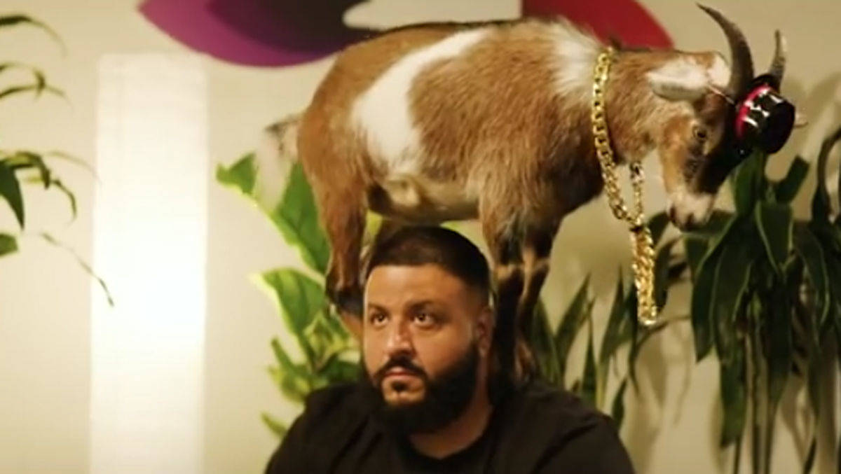 DJ Khaled beim Ziegen-Yoga
