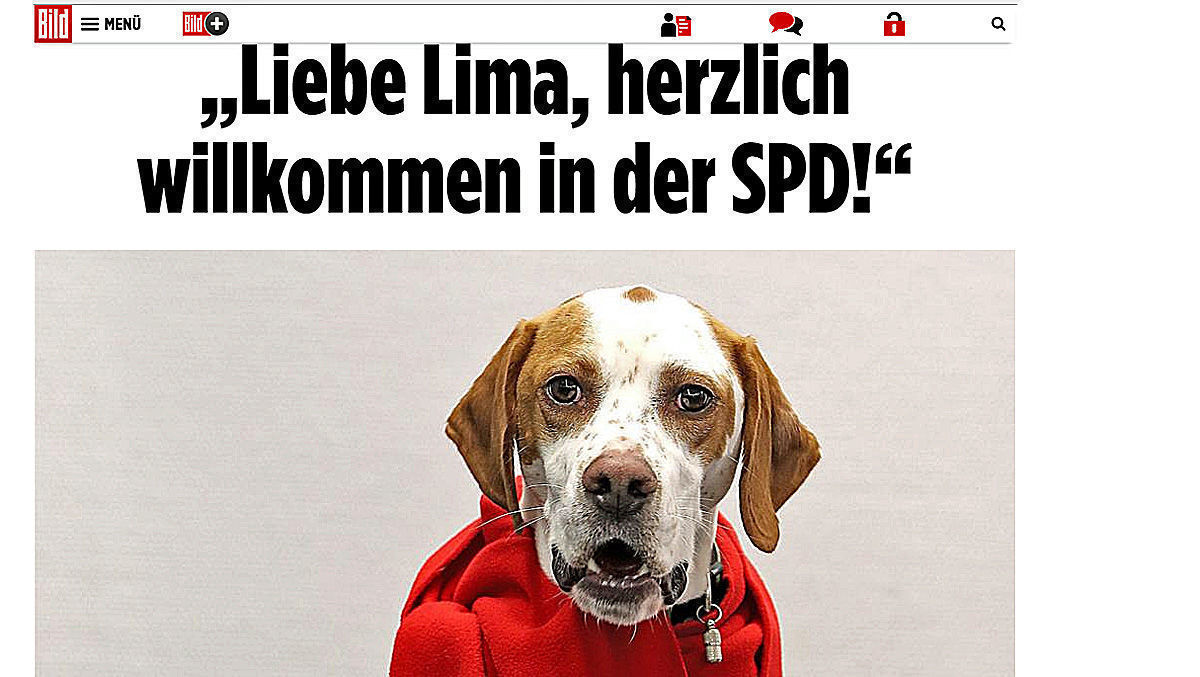 Lima, der SPD-Hund von Bild - der den Presserat ...