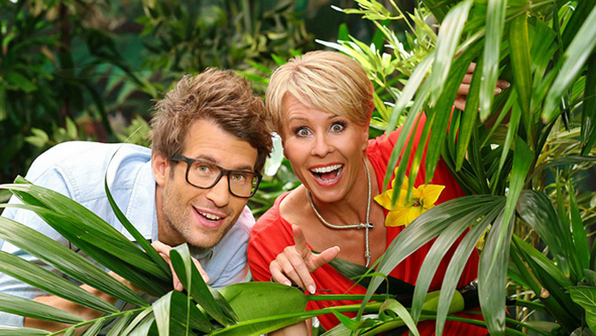 Rtl Now Dschungelcamp 2019