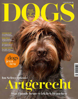 "Dogs"-Cover mit neuem Schriftzug und neuem Motto.