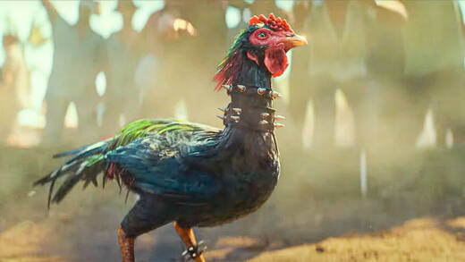 In Far Cry 6 treten solche virtuellen Hähne in einem Minispiel gegeneinander an.