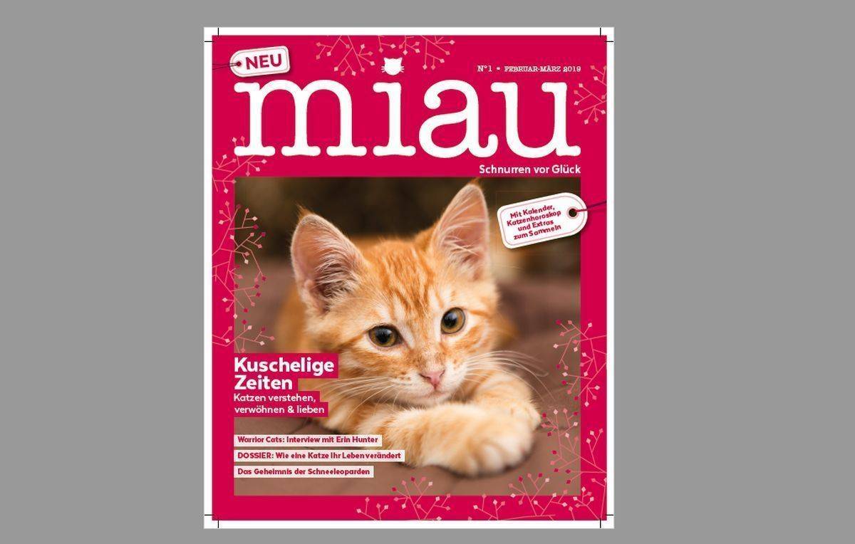 Miau: Kann man sich für 8,50 Euro krallen.