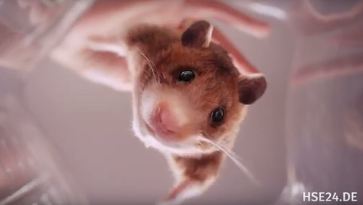 Schreddert Jung von Matt Hamster Hansi für HSE24? W&V