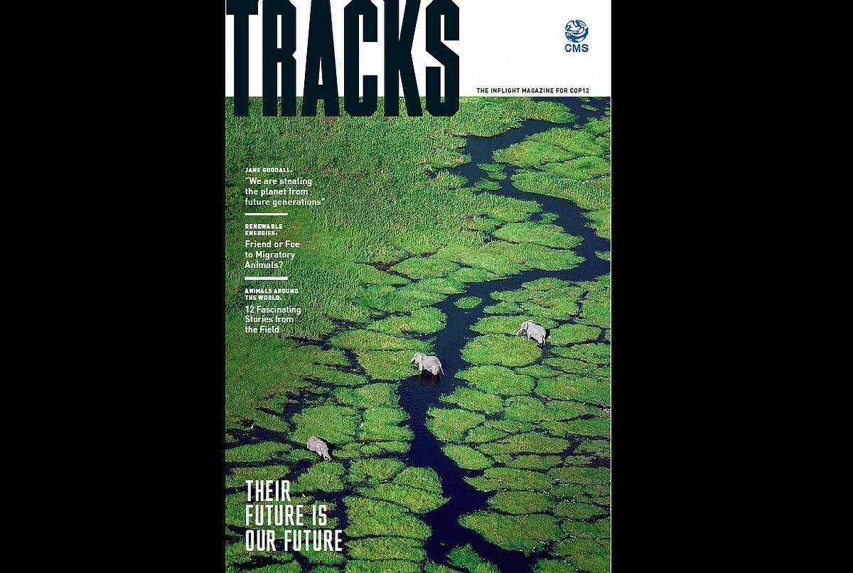 Tracks: Artenschutzthemen im Magazinformat.