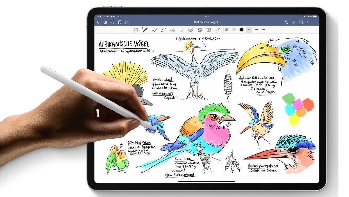 Das Einsteiger-iPad erlaubt auch das Zeichnen mit dem Apple Pencil.
