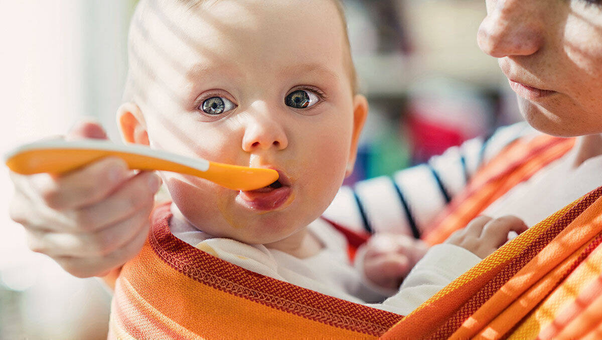 Die Tools rund um die Namensfindung bilden das Herzstück des Babyclubs, der nicht etwa von einem Babybreihersteller ins Leben gerufen wurde, sondern von einer Werbeagentur.