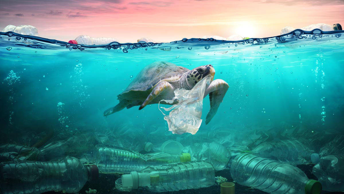 Plastik im Meer beeinträchtigt nicht nur die Tierwelt. 