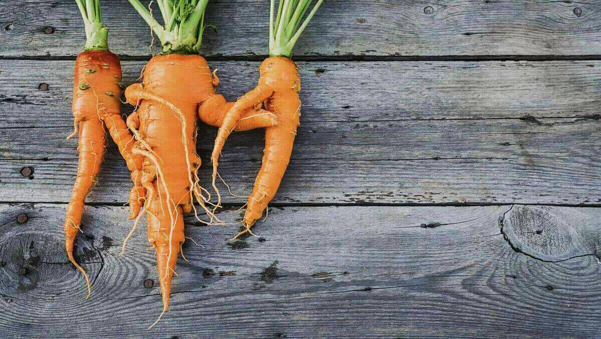 So cute können Karotten aussehen - in jeder Hinsicht zu schade zum Wegwerfen.