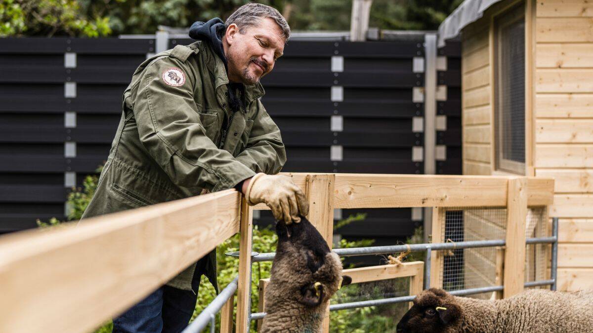 Hardy Krüger jr. stellt sich für "GewissensBisse" die Gewissensfrage: "Fleisch oder Vegggie?"