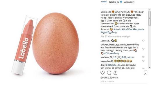 World Record Egg: Jetzt beginnt die Werbekarriere.