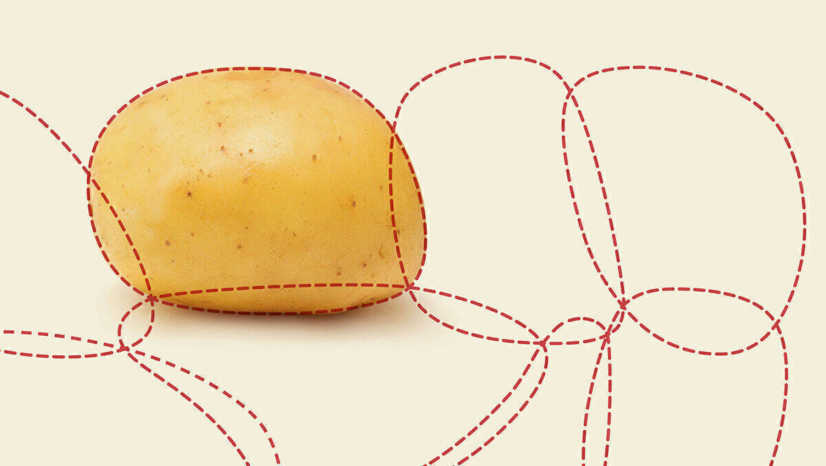 Die Veränderungen gehen vom Zentrum des berühmten Kartoffelmodells aus.